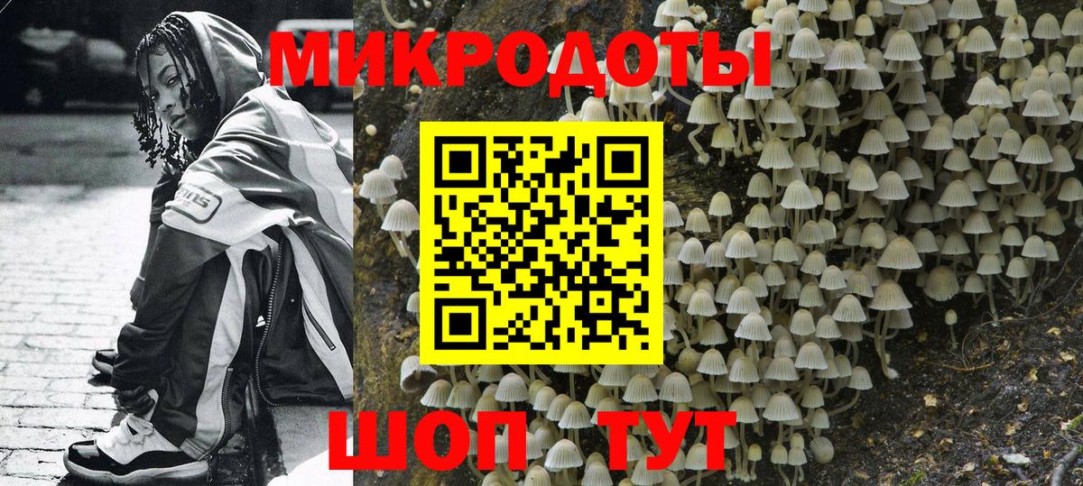 Псилоцибиновые грибы мицелий Нижнекамск
