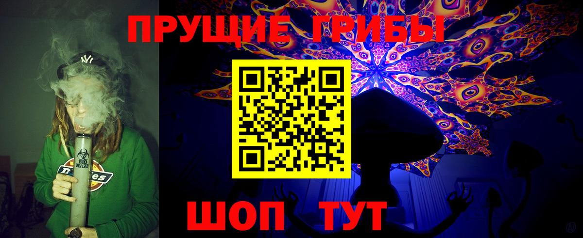 Нижнекамск  Галлюциногенные грибы GOLDEN TEACHER  где продают наркотики  Галлюциногенные грибы Cubensis  Вход с VPN 